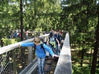 /album/fotogalerie-stezka-korunami-stromu-lipno/stezka-korunami-stromu2244-jpg/